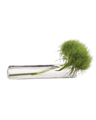 Test Tube Glass Bud Vases - Chive UK