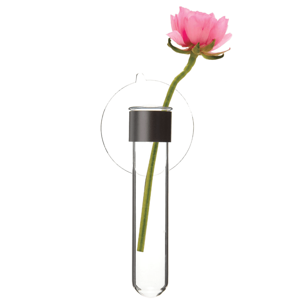 Test Tube Glass Bud Vases - Chive UK