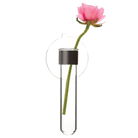 Test Tube Glass Bud Vases - Chive UK