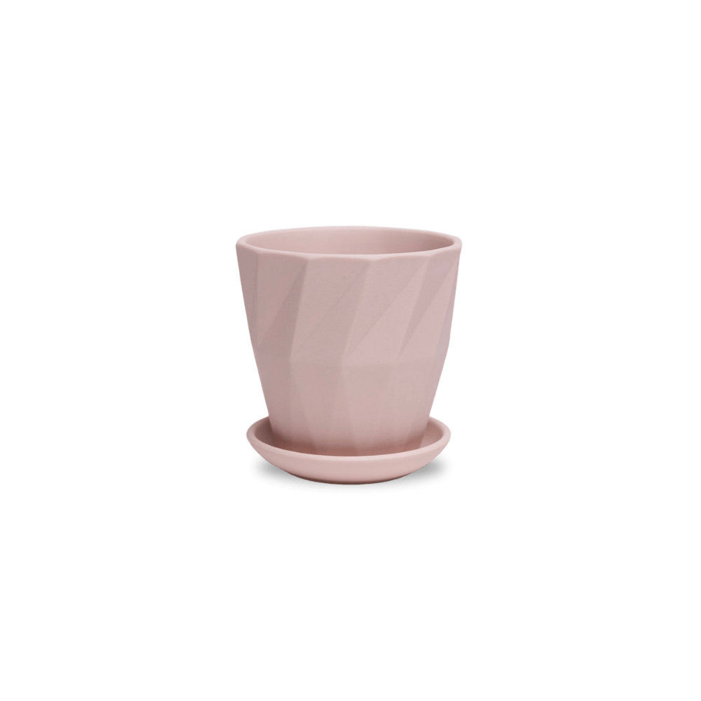 Virago 3.5" Porcelain Pot With Drainage Hole And Saucer - Chive UK