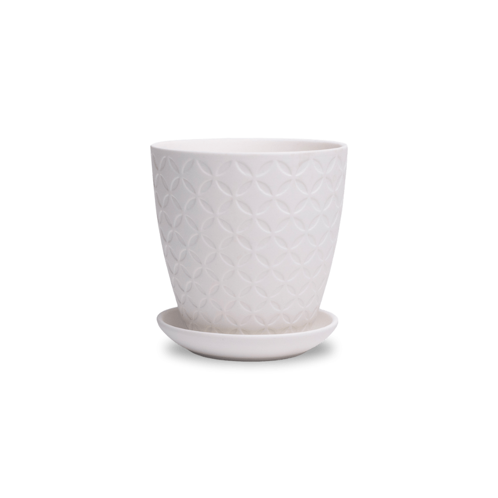 Virago 3.5" Porcelain Pot With Drainage Hole And Saucer - Chive UK