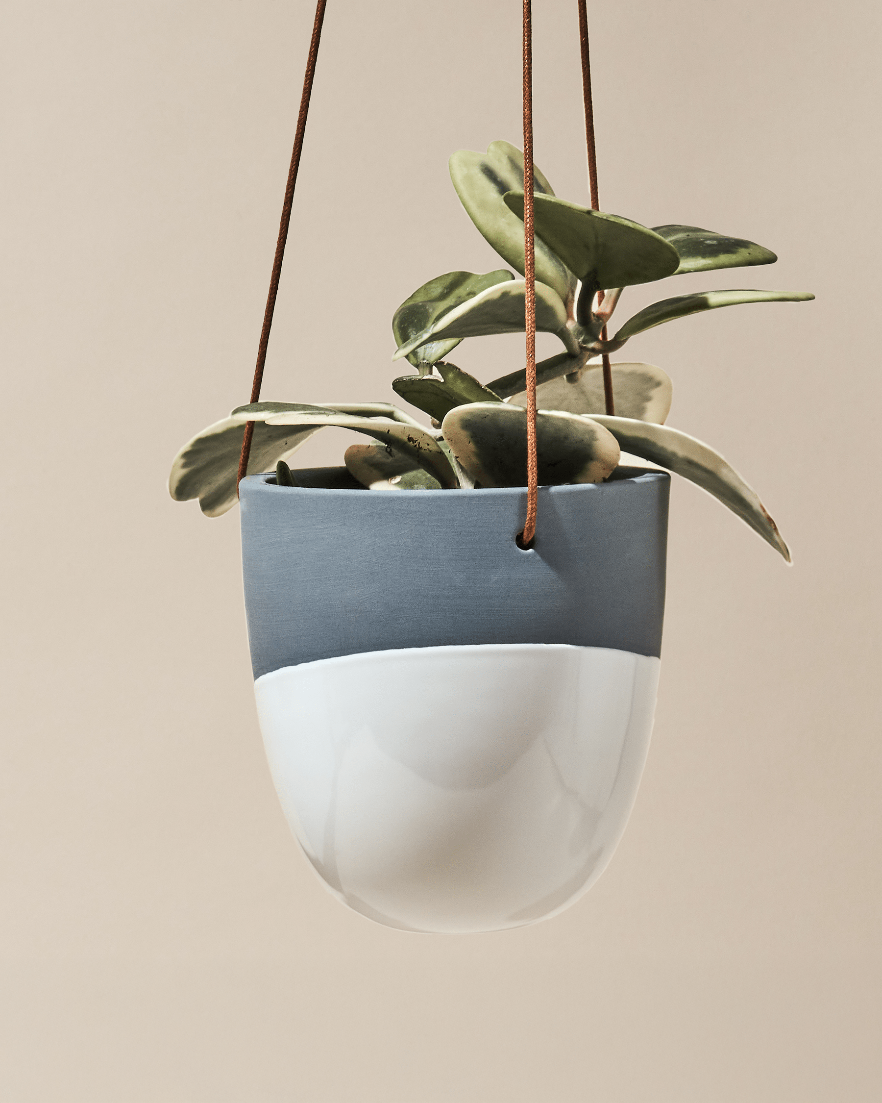 Bobbin Porcelain Modern Hanging Indoor Plant Pot - Chive UK