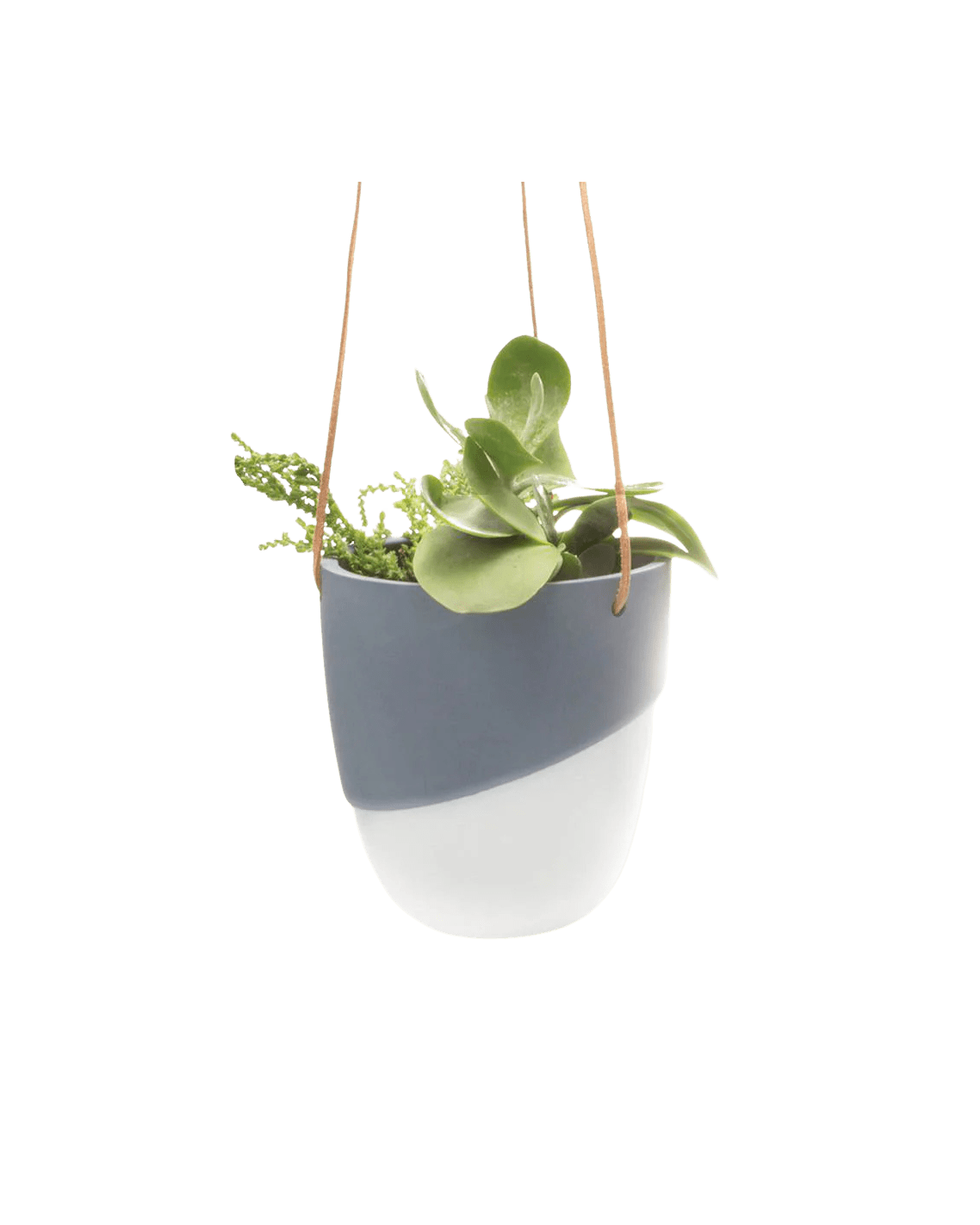 Bobbin Porcelain Modern Hanging Indoor Plant Pot - Chive UK