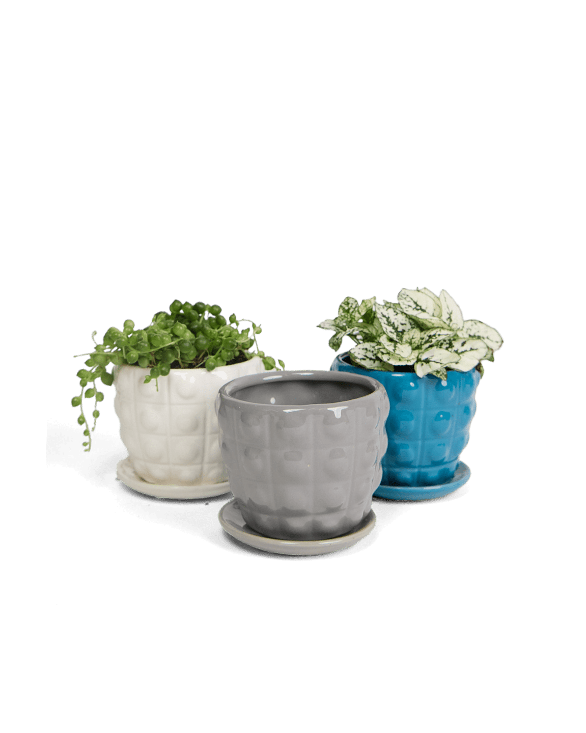 Convex Ceramic Pot With Drainage Hole And Saucer - Chive UK