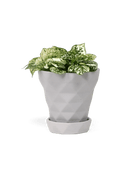 Diamond Porcelain Modern Indoor Plant Pot With Saucer - Chive UK