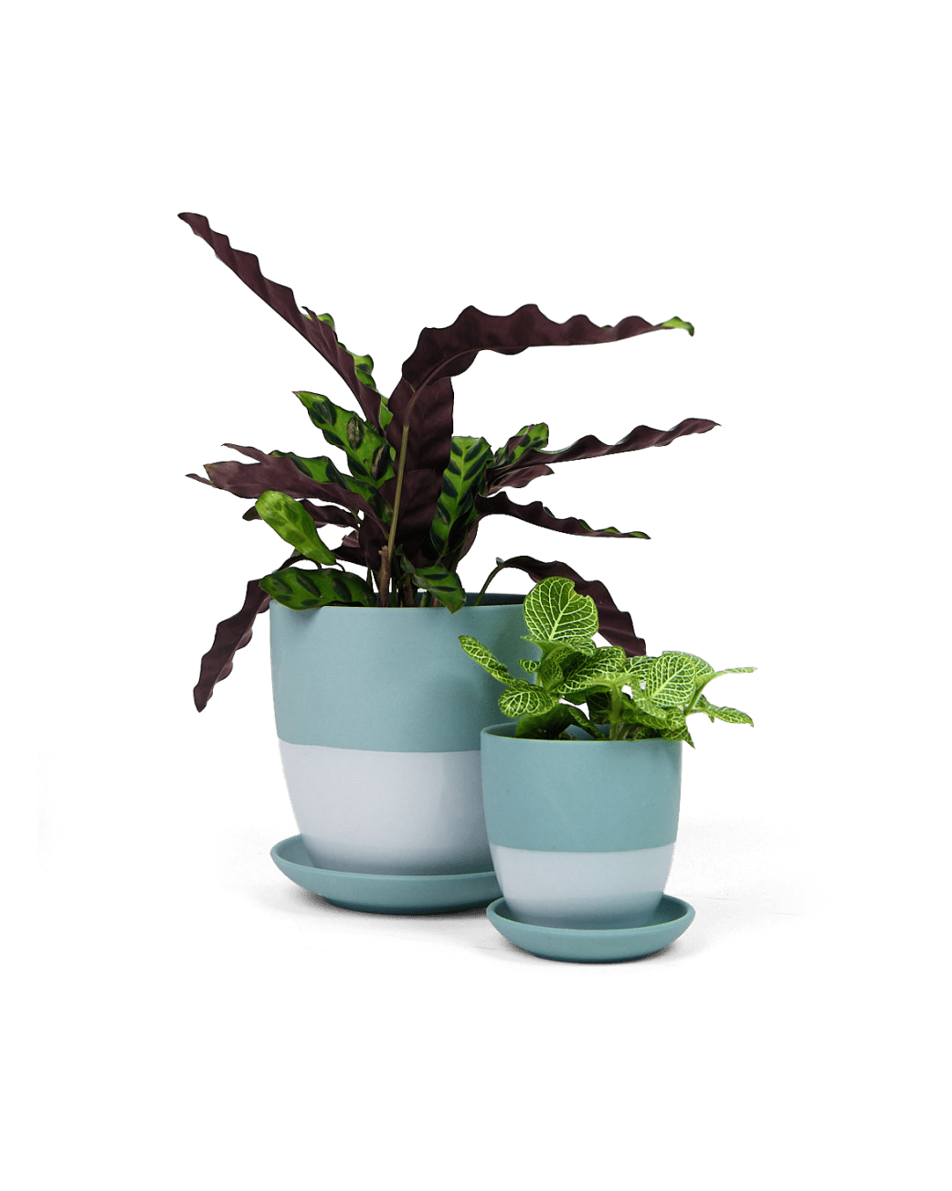 Dyad Porcelain Modern Indoor Plant Pot With Saucer - Chive UK