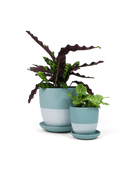 Dyad Porcelain Modern Indoor Plant Pot With Saucer - Chive UK