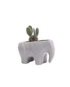 Elephant Ceramic Indoor Plant Pot For Succulents - Chive UK