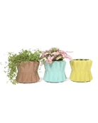 Fang Ceramic Modern Planter For Succulents - Chive UK