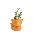 Fox Ceramic Indoor Plant Pot For Succulents - Chive UK