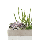 Meraki Cement Planter Pot - Chive UK