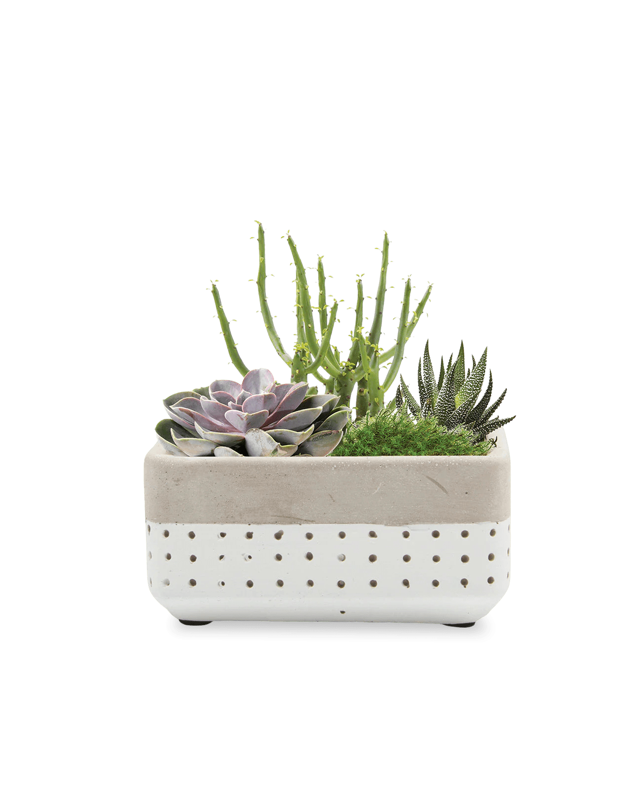 Meraki Cement Planter Pot - Chive UK