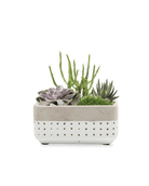 Meraki Cement Planter Pot - Chive UK