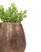 Mesh Ceramic Planter Pot - Chive UK