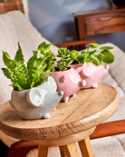 Mouse Ceramic Indoor Plant Pot For Succulents - Chive UK