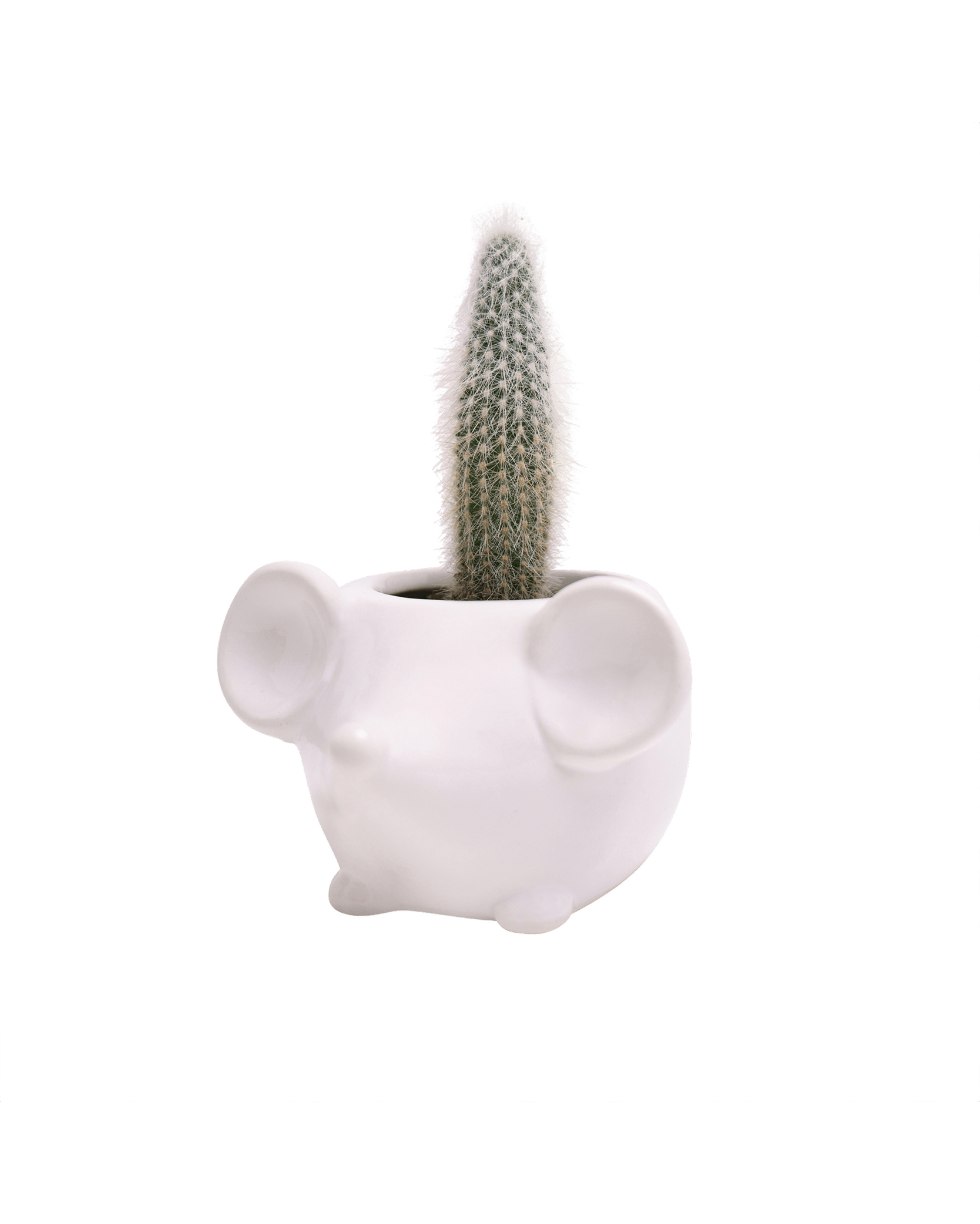 Mouse Ceramic Indoor Plant Pot For Succulents - Chive UK