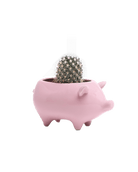 Pig Ceramic Indoor Plant Pot For Succulents - Chive UK