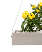 Ragna Ceramic Hanging Planter - Chive UK