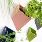 Slab Wall Planter For Succulents - Chive UK