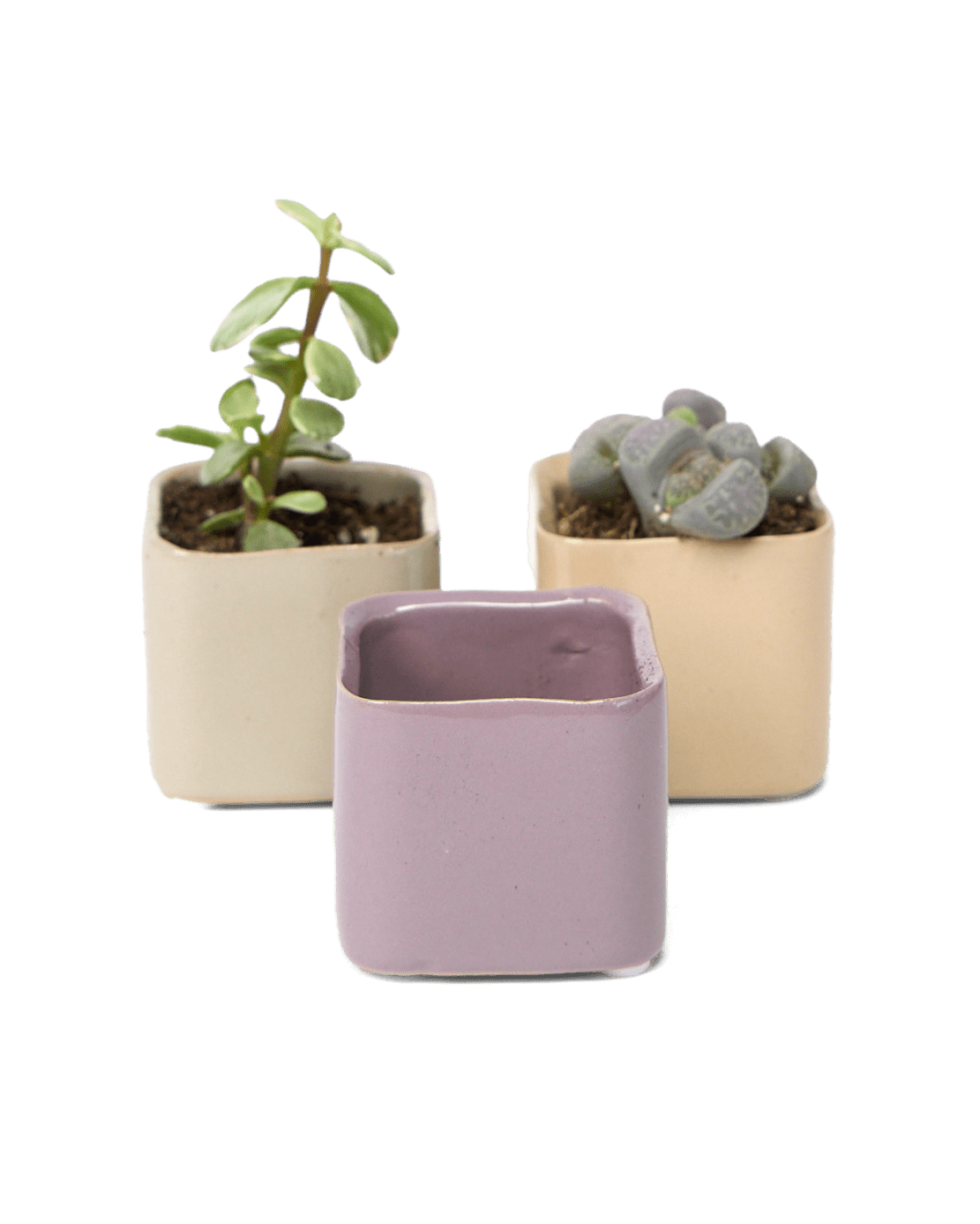 Svek Ceramic Indoor Succulent Pot - Chive UK