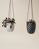 Thimble Porcelain Modern Hanging Planter - Chive UK