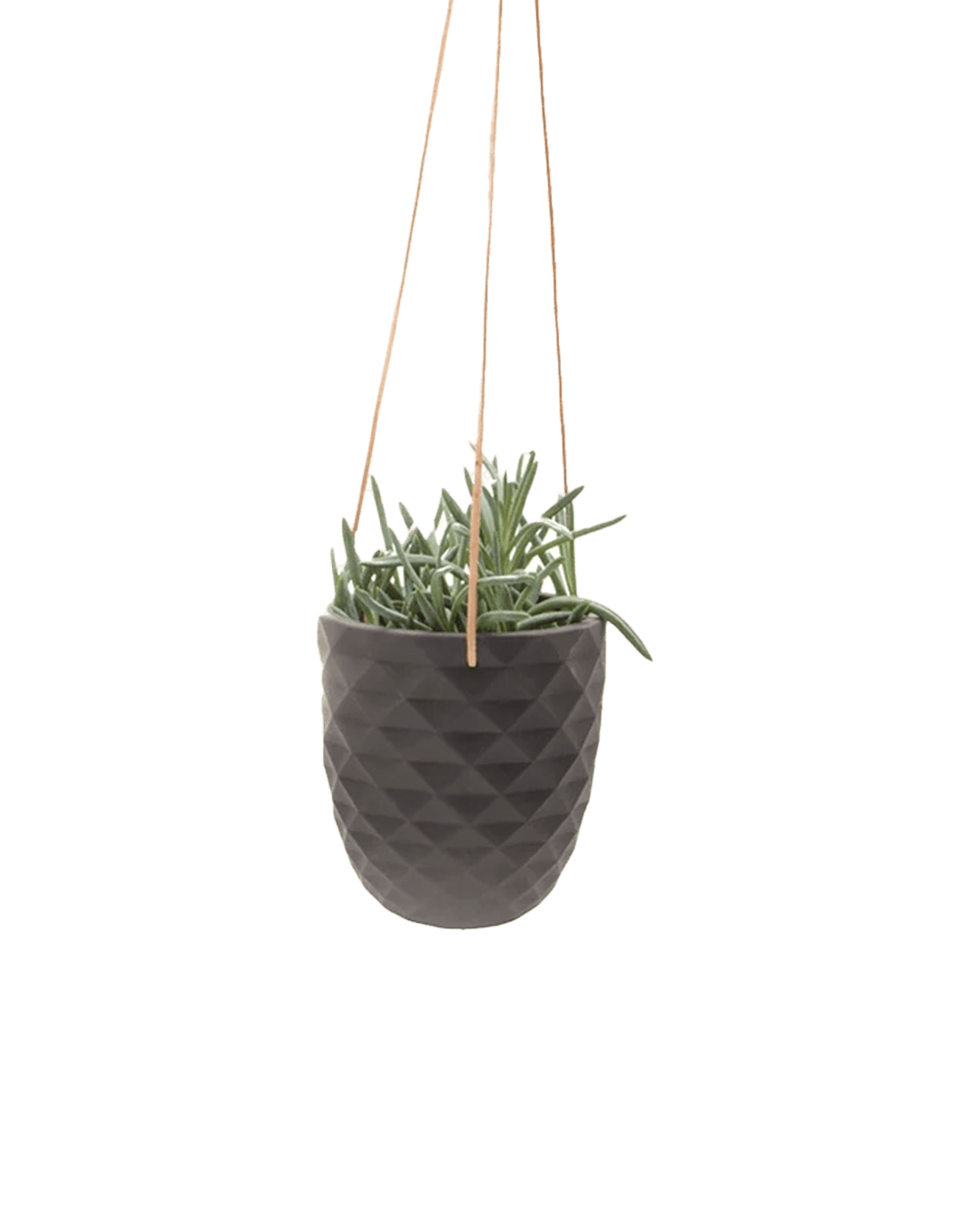 Thimble Porcelain Modern Hanging Planter - Chive UK